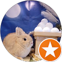 雨雲れいん profile picture