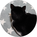 かず猫 profile picture