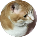 bonus solid profile picture